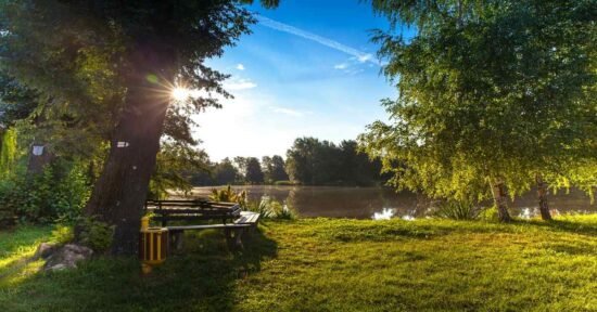 Deussen Park: Houston Activities, Amenities & Attractions