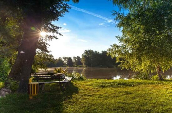 Deussen Park: Houston Activities, Amenities & Attractions